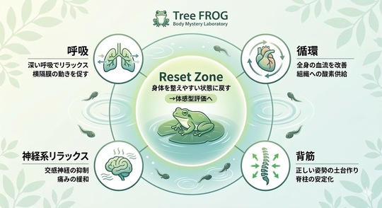 整体卒業までの通院ステップ - Tree FROG（旧 椿原接骨院・鍼灸院）