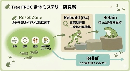 整体卒業までの通院ステップ - Tree FROG（旧 椿原接骨院・鍼灸院）